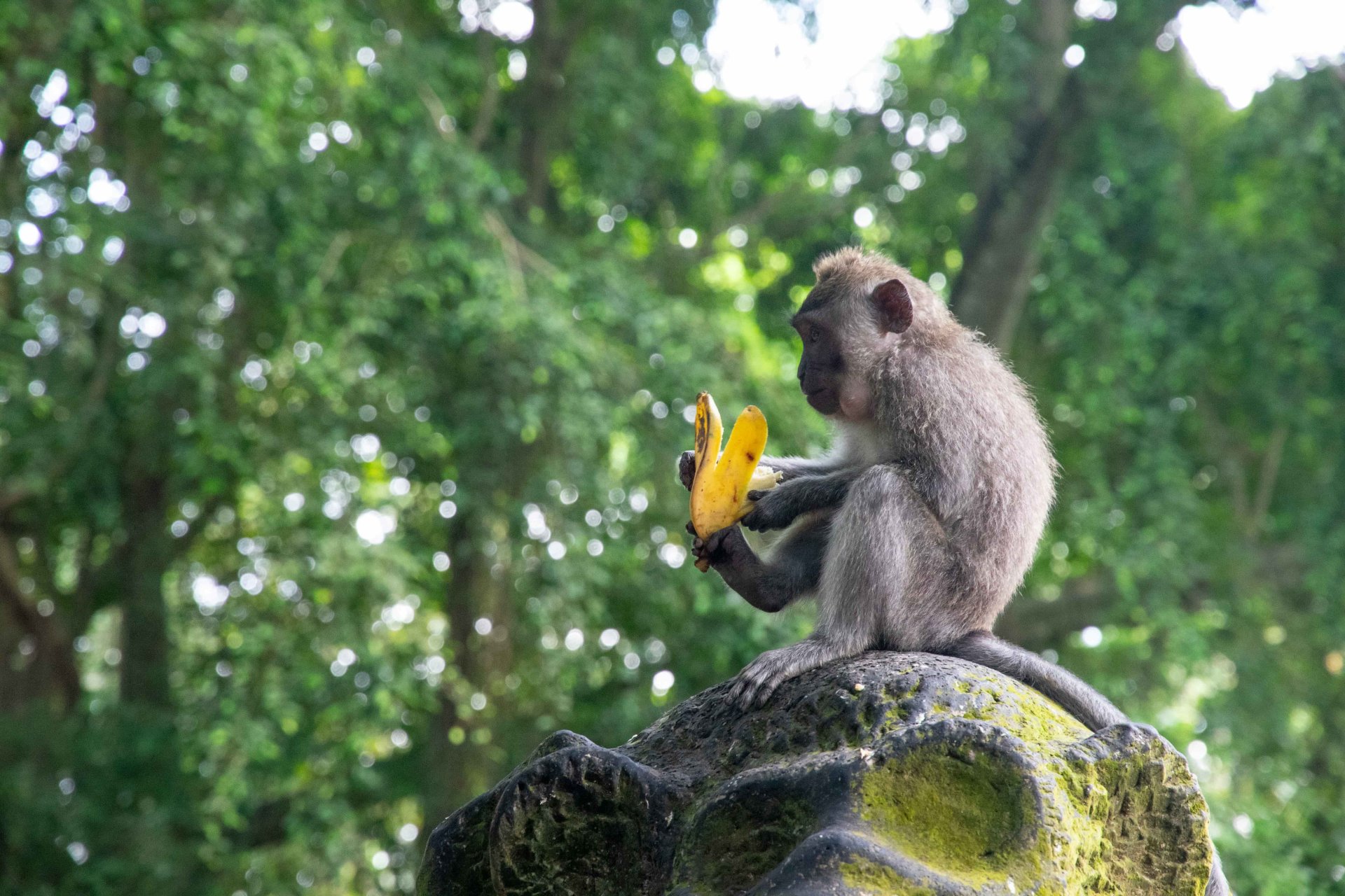 Ubud
