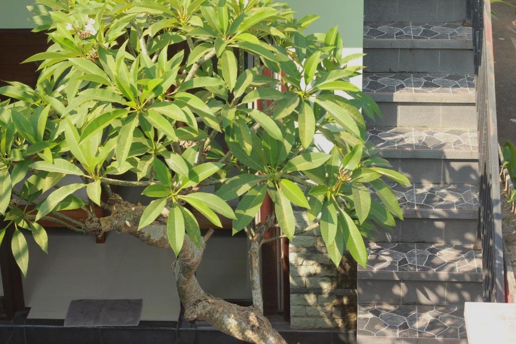 Private-Pool 2-Bedroom Villa in Central Ubud — Open-Plan Living, Ready for Long or Short Stays