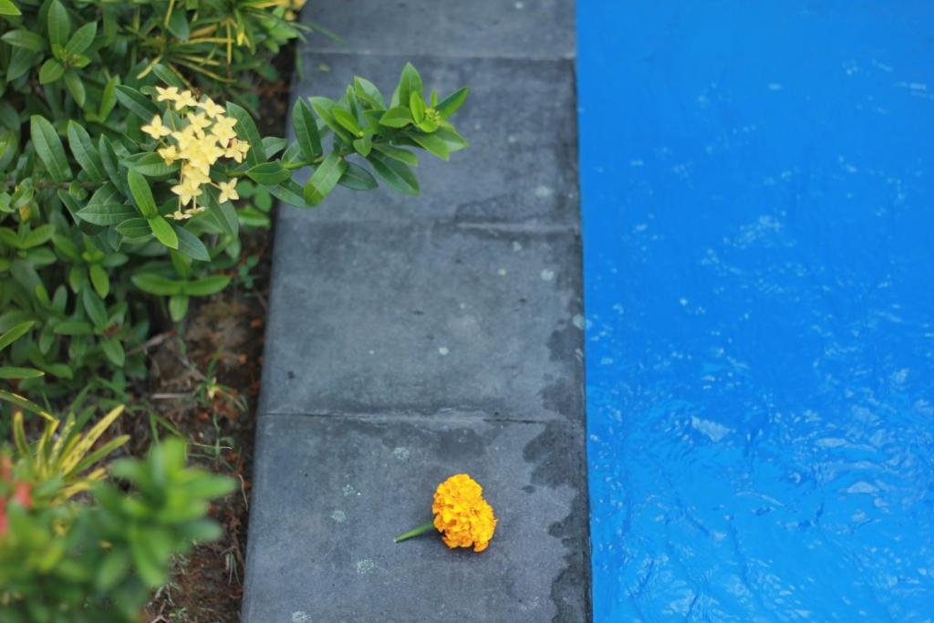 Private-Pool 1-Bedroom Villa in Ubud — Open-Plan Terrace Living, Ideal for Monthly Rentals